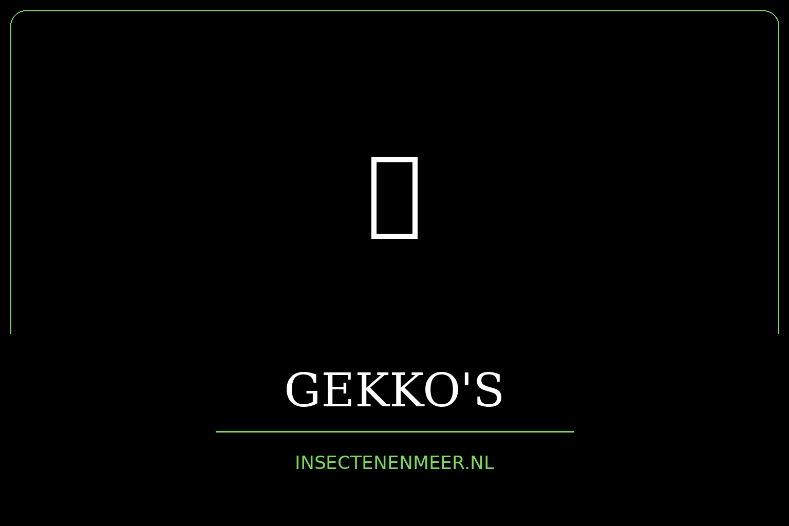 Gekko’s